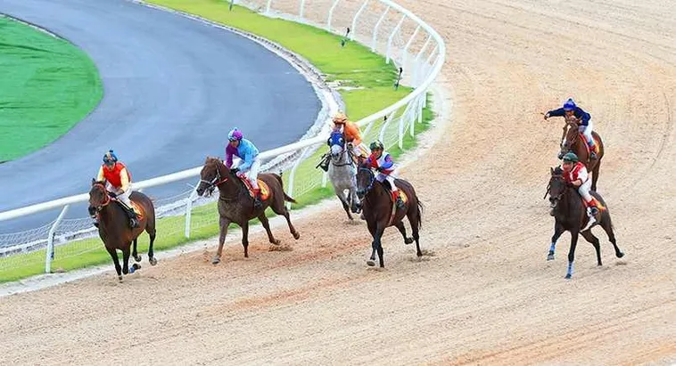 Tìm Hiểu Cá Cược Đua Ngựa S666: Bí Kíp Thắng Lớn Trong Từng Chặng